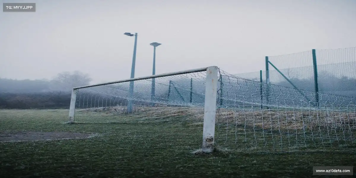 澳洲幸运10官网——🐟撑杆飞跃，鱼跃龙门！